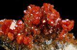 Red Vanadinite Crystal Cluster - Morocco #36978-1